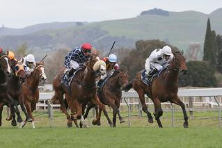  Honey Rider (NZ) claims the first leg of the NZB Filly of the Year Series. Photo Credit: Trish Dunell.